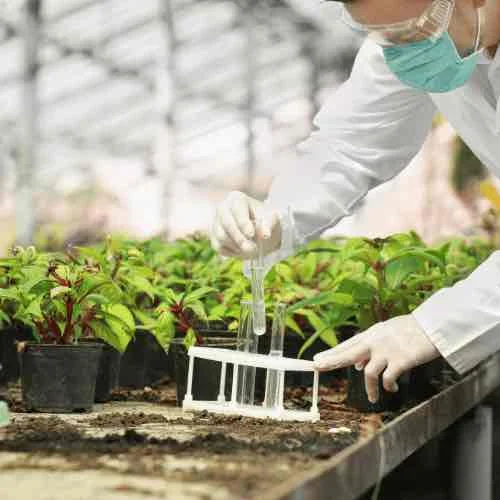 Agricultural Engineering