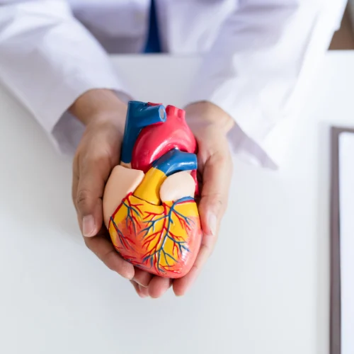 B.Sc. Cardiac Technology