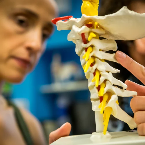 Bachelor of Physiotherapy